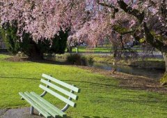 公共場所無線網絡安全解決方案